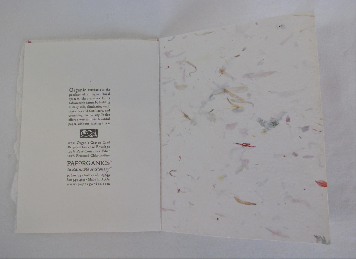 Paporganics Handmade Greeting Cards