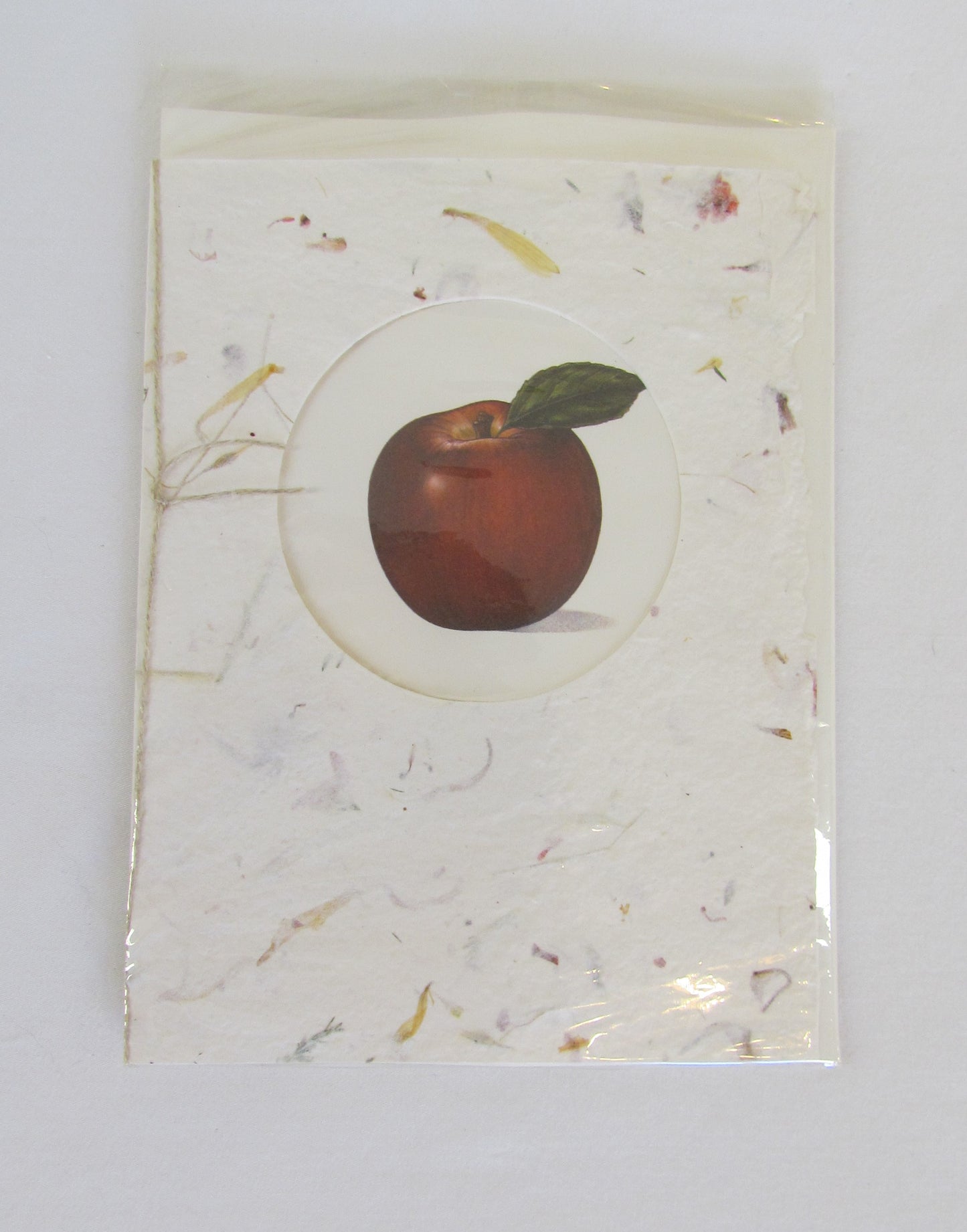 Paporganics Handmade Greeting Cards