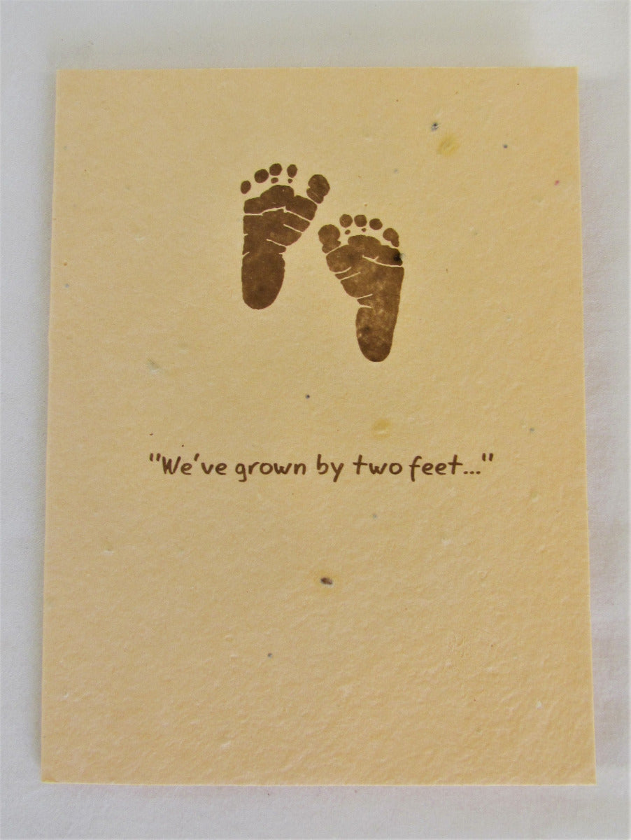 Green Field Grow-a-Note Cards-We've Grown By Two Feet, 5-Pack