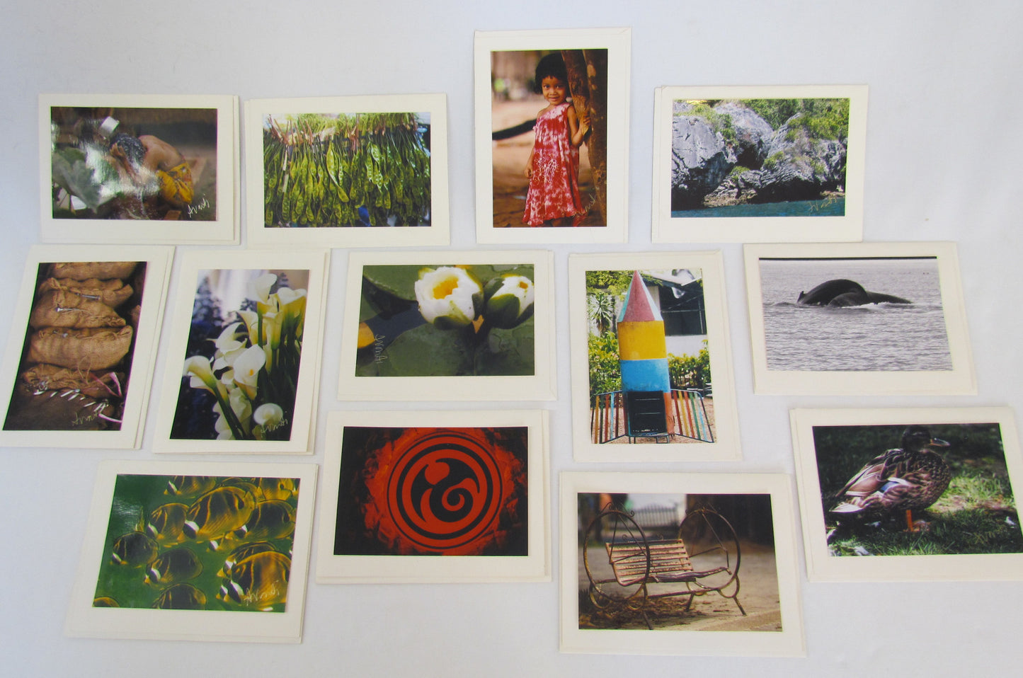 Avanti Photography Greeting Cards
