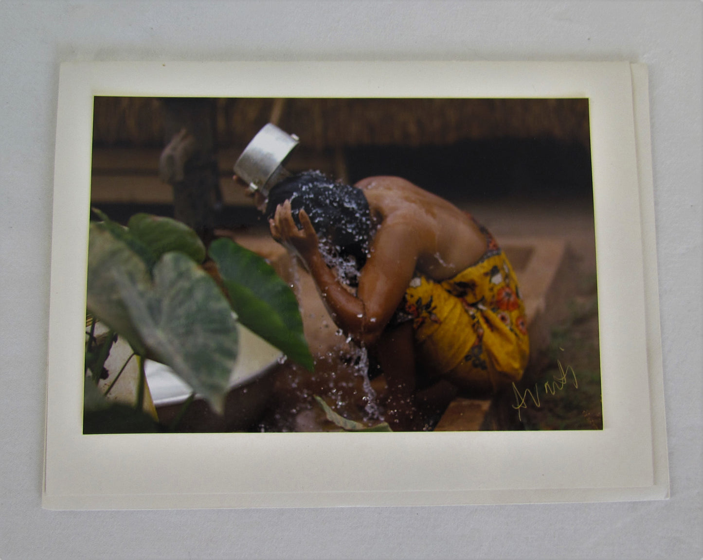 Avanti Photography Greeting Cards