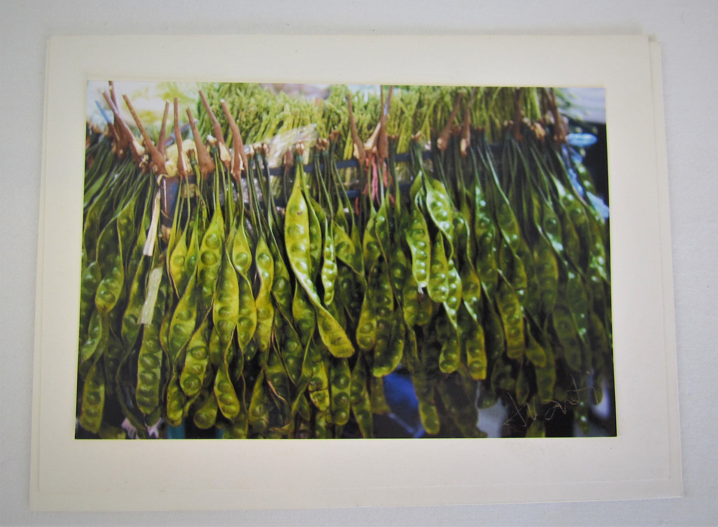 Avanti Photography Greeting Cards