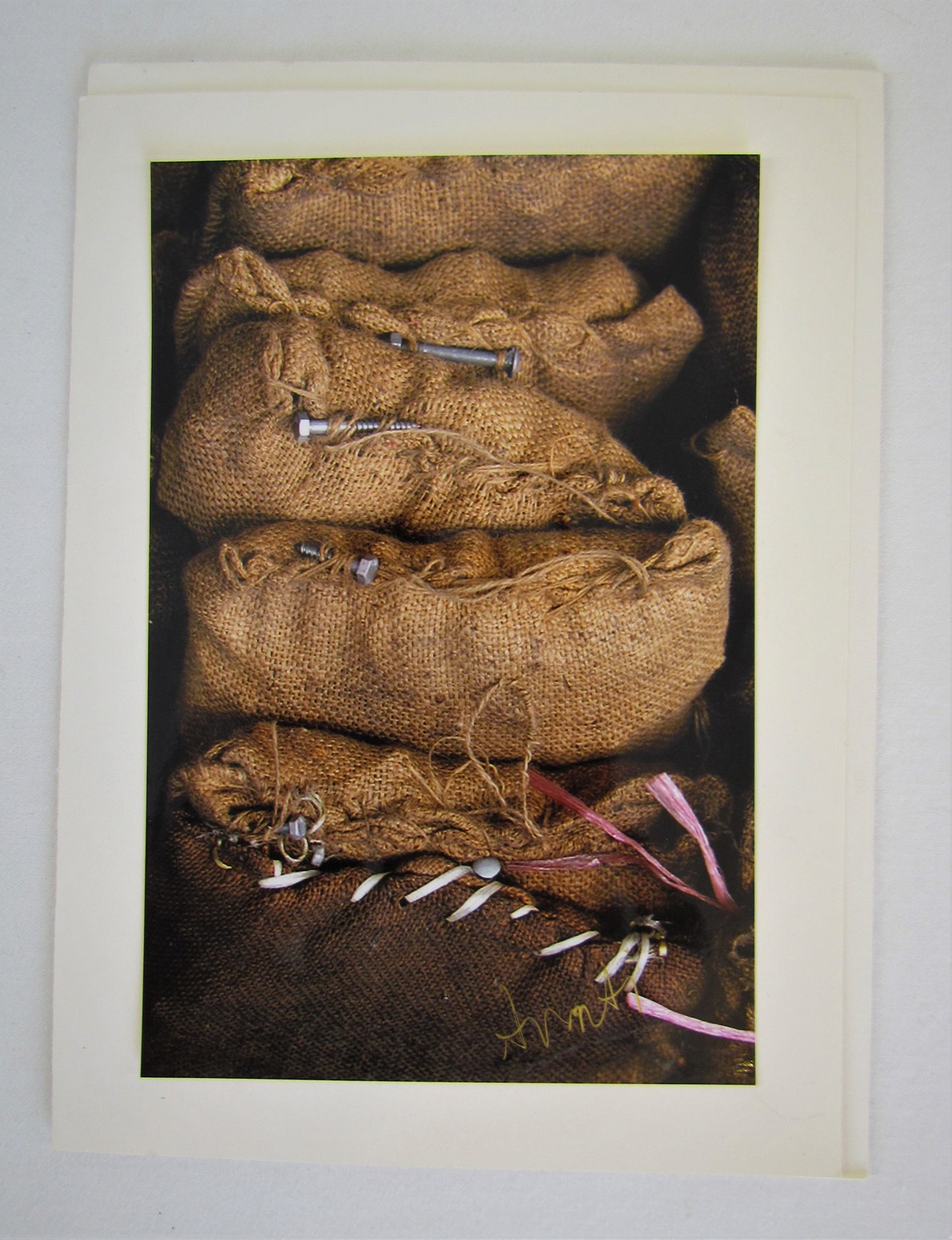 Avanti Photography Greeting Cards
