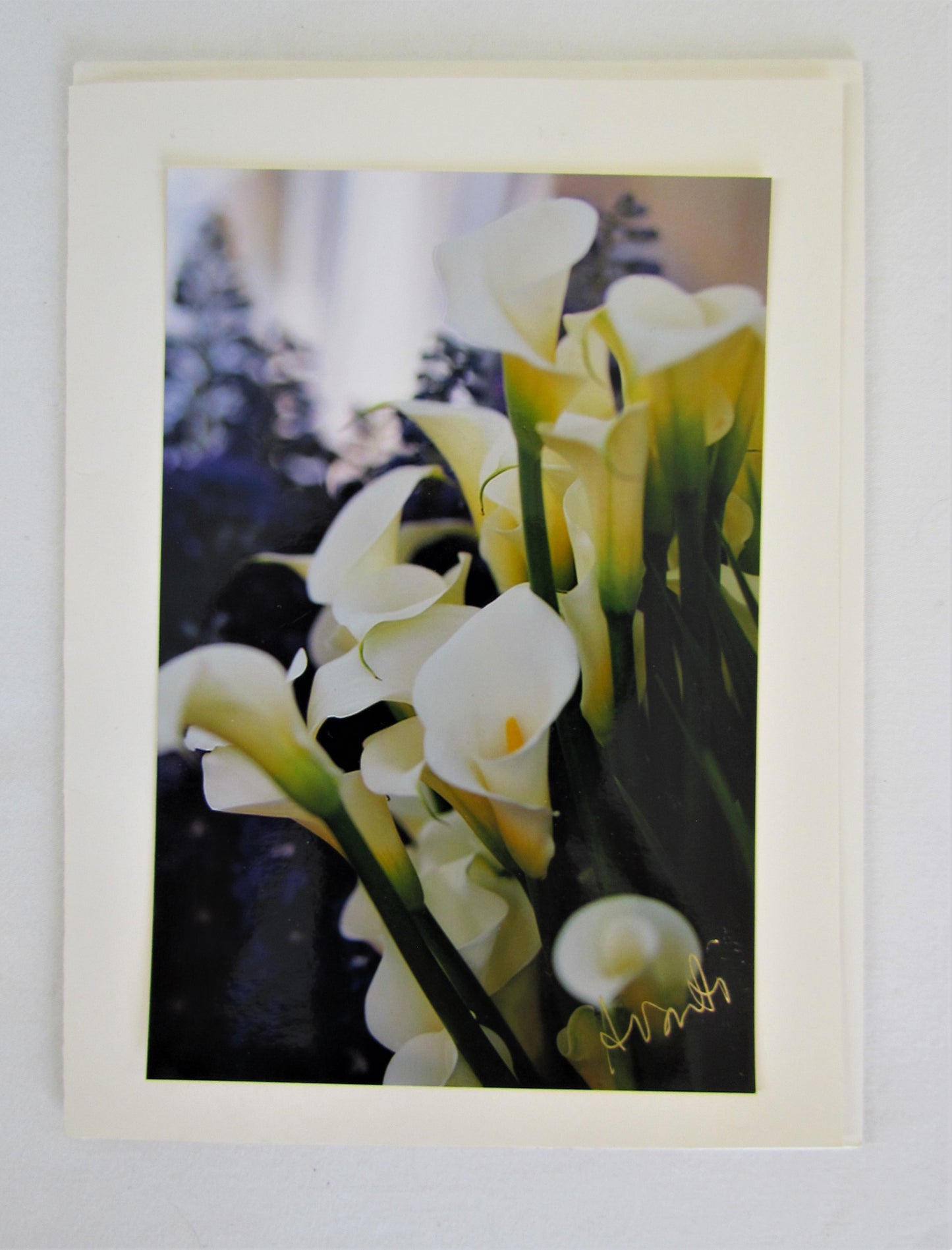 Avanti Photography Greeting Cards
