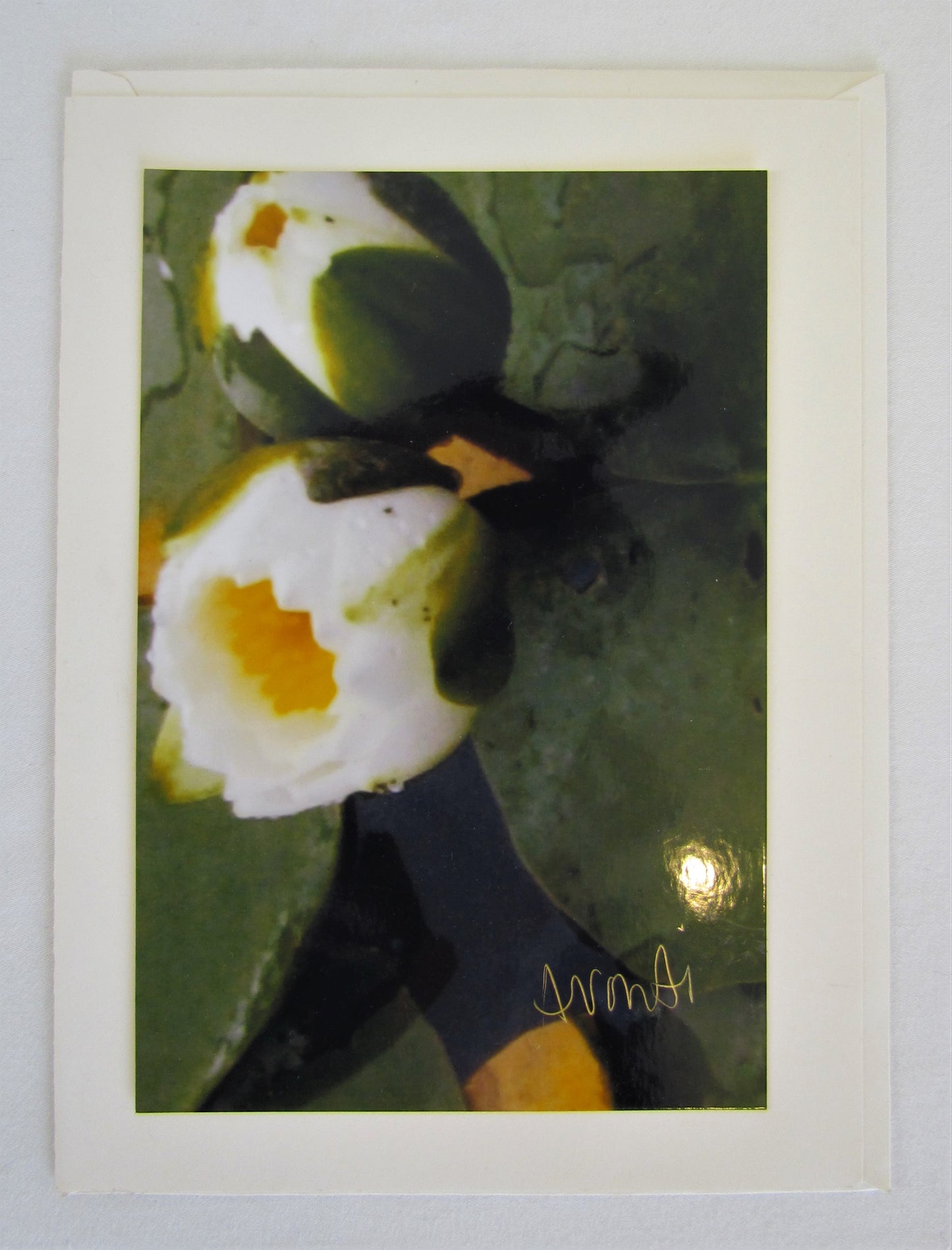 Avanti Photography Greeting Cards