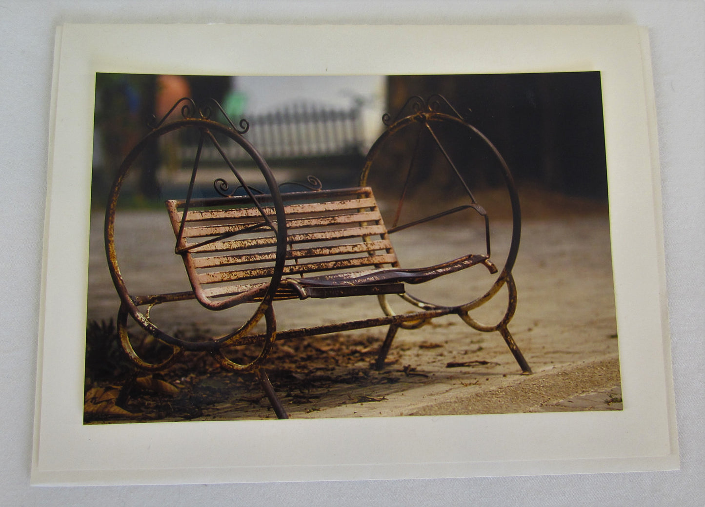 Avanti Photography Greeting Cards