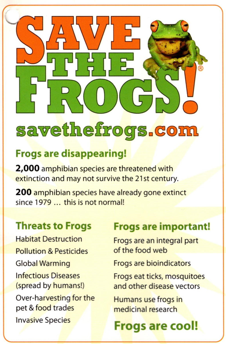 Save the Frogs Short Sleeve T-Shirt